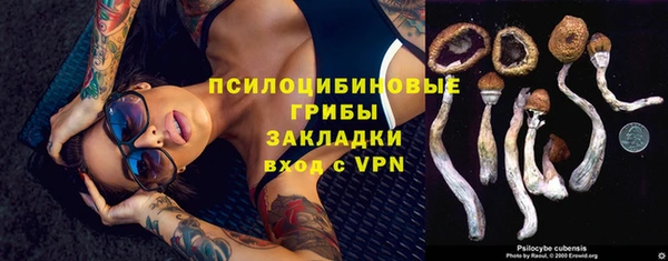 стаф Абинск