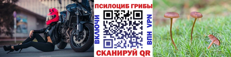 Псилоцибиновые грибы мухоморы  Хабаровск 